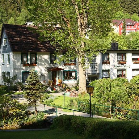 Haus Gruene Insel - Ferienwohnungen Altenau  Exterior foto