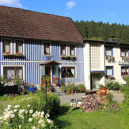 Haus Gruene Insel - Ferienwohnungen Altenau  Exterior foto