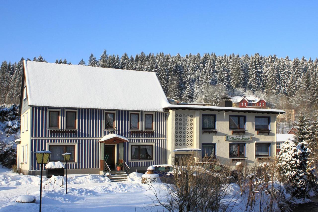 Haus Gruene Insel - Ferienwohnungen Altenau  Exterior foto