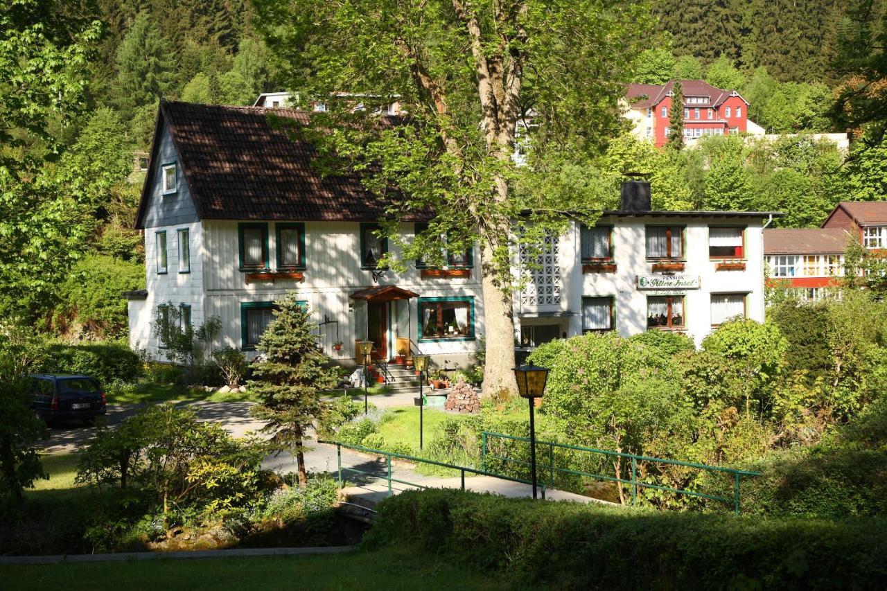 Haus Gruene Insel - Ferienwohnungen Altenau  Exterior foto
